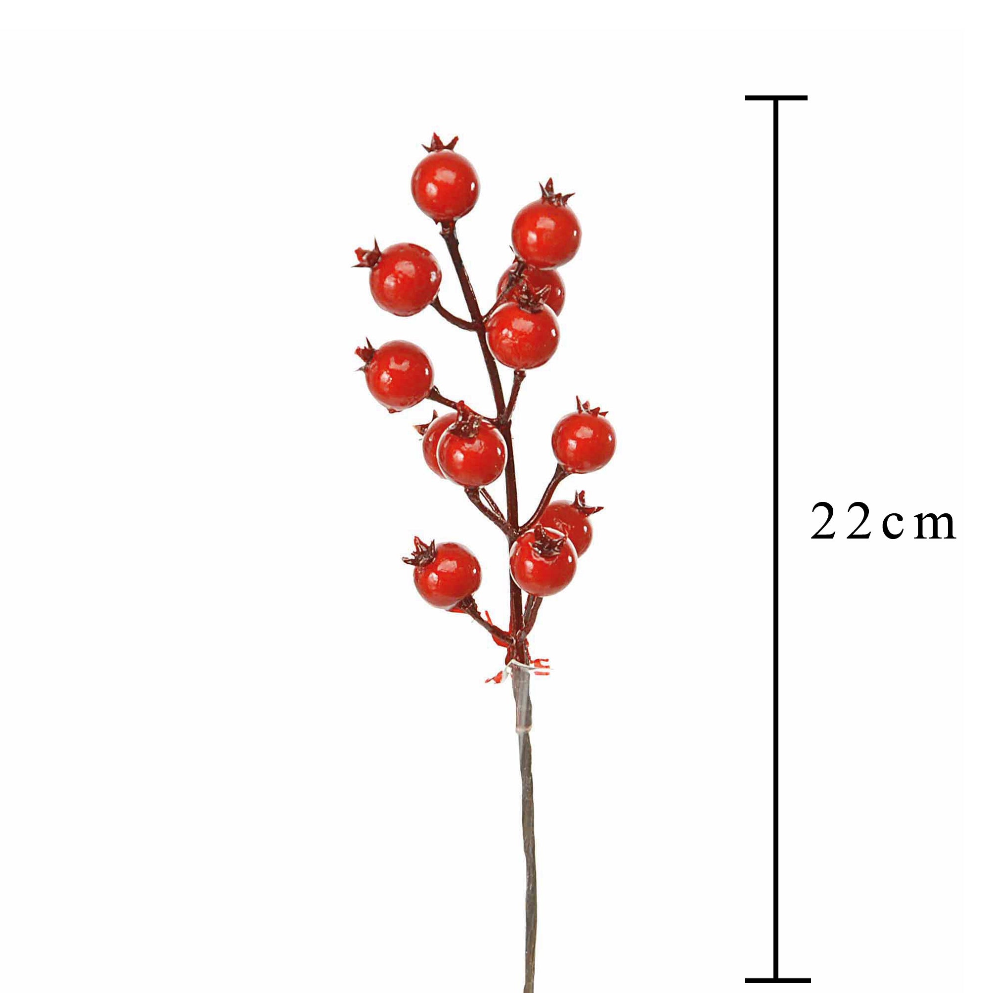 Set 24 Pick Piricantha H22 cm Rosso