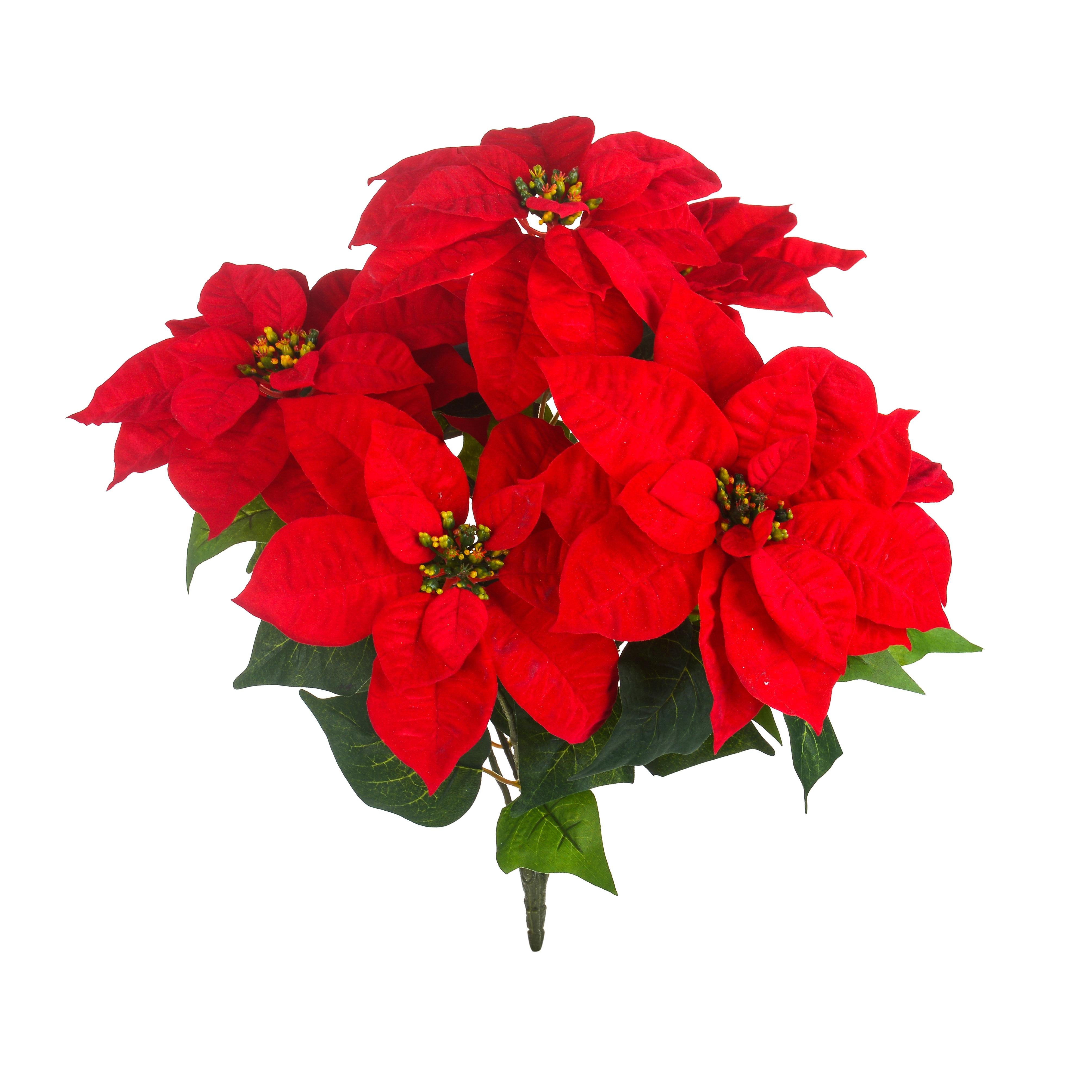 Set 2 Cespugli Stella Natale con 7 Fiori H50 cm Rosso