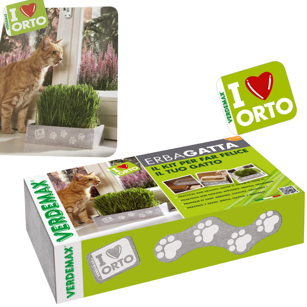 Kit erba gatta catnip con terriccio e semi in cucina, sul davanzale o dove vuoi tu